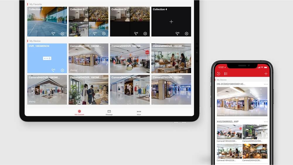Internet y los sistemas de vigilancia por cámaras